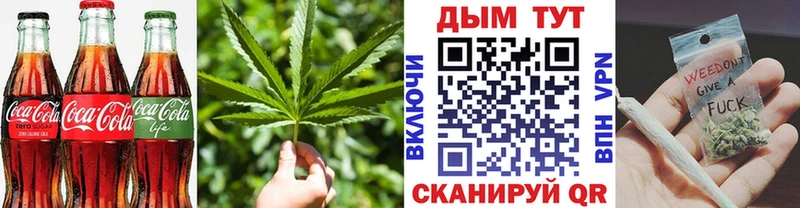 Купить  Щёкино  Cannafood конопля 